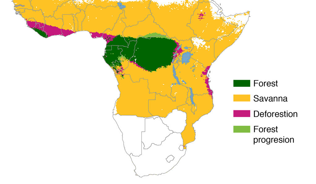 Map of Africa with deforestation graphic