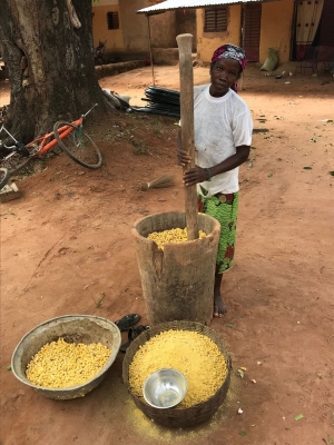 Woman pounding ALB fruits to separate the seeds.