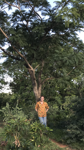 Eli standing in front of an ALB tree