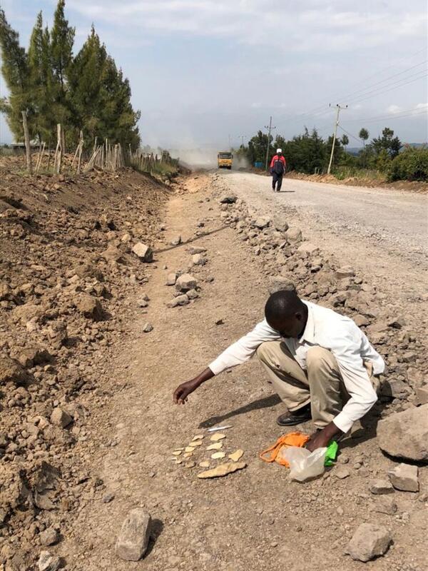 Richard Kinyua, a local collaborator, examines Acheulean tools unearthed by road construction at Kaheho, Kenya. Without his efforts, these tools would never have been found.